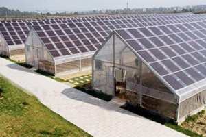 农光互补，光伏农业产业示范园区，公司发展新方向