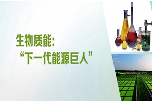 生物质发电简析