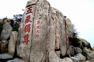山东海德光伏团建拓展营泰山行