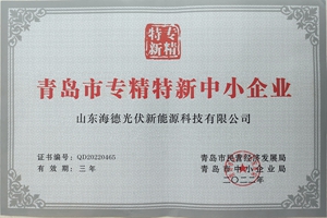 祝贺公司成功入选青岛市“专精特新”企业名录