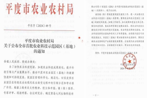 祝贺农业公司盆栽韭菜基地入选平度市首批农业科技示范园区