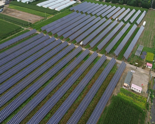 Modern Photovoltaic Agriculture Project in Cuijiaji Town, Pingdu City, Shandong Province